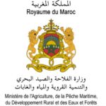 minister